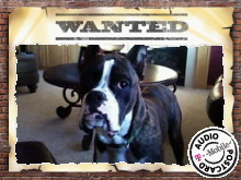 Matthew Rustad (@Cowboy2728) | Twitter