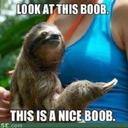 Cameron Corbett - @CamCourgette - Twitter