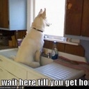 Cindy Jo Osborn - @CindyJoOsborn - Twitter