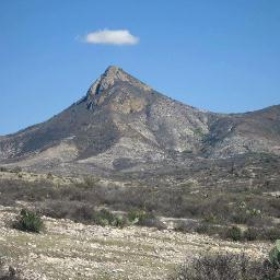 AlanHamurabi's profile picture. ¡Trabajando por un mejor Tepezalá!