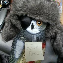 Justice owl. Giving a hoot for justice!