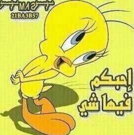 جعل السحاب الي معه برق ورعود يمطر ۶ـٌٍلـَـى دارن وليفي سكنها