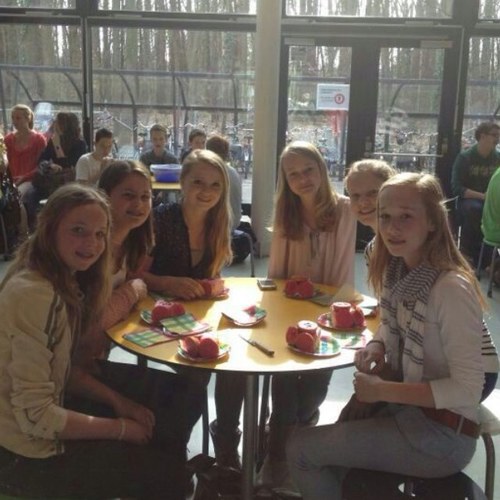 4vwo / 15 jaar / weredi / HOD