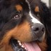 pieter (@pdevriespieter) Twitter profile photo