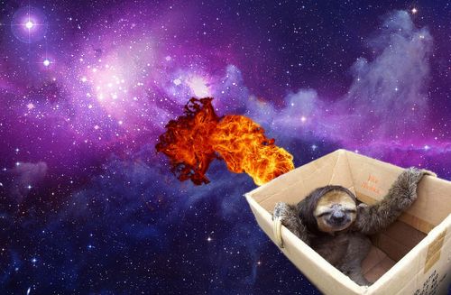 sloths are cute things. I FOLLOW EVERYONE BACK.
i do a lot of quotes about life and so on.