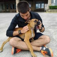 Pablo Gámez López (@peiblou4) 's Twitter Profile