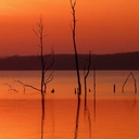 Michel Eugene - @michel_eugene - Twitter