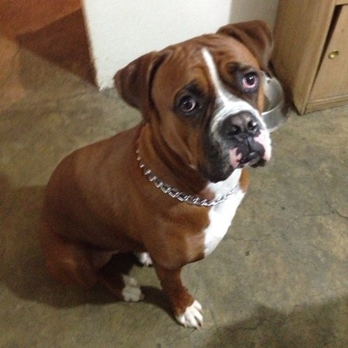 macromedia2's profile picture. 