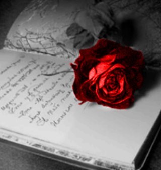 nawal_sudais's profile picture. سياحة في رحاب العلم