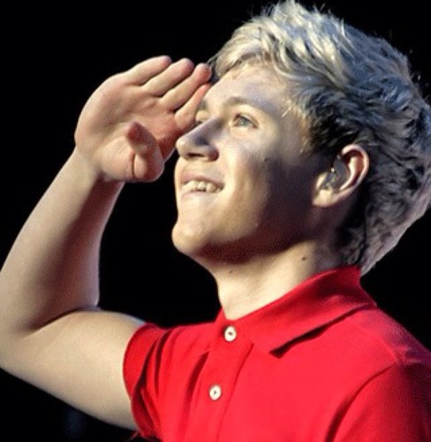 Sqeakybear's profile picture. I simply love one direction.