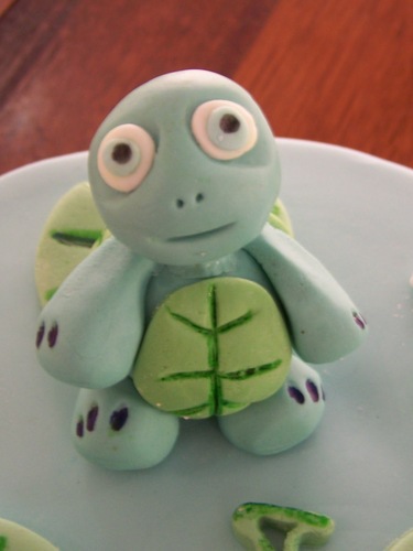 DavidMeekens's profile picture. Turtle Lover