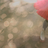 tomoyolau's profile image