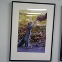 Mary Sherrer - @MarySherrer1 - Twitter