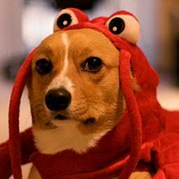 monofluorfosfat's profile picture. 