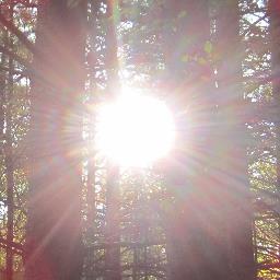 Gardening.  Nature.  Music and travel.  Working, enjoying, and preserving the Earth:  celebrating life and its many arts.