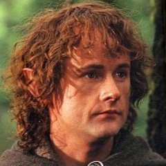 Pip_took's profile picture. Ever since the quest to destroy the One Ring, I've been back and forth between the Shire and Minas Tirith with my trusty pipe
Silmoholic!
#VoteBilbo