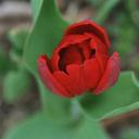 Dawn Jett - @lilbits317 - Twitter