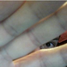 jimmyjamesd's profile picture. Rather thin - in frame, follicle and wit.