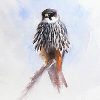 Ed Keeble (@ed_keeble) 's Twitter Profile