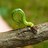 WinthropWorms's profile image