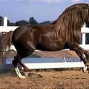 Anne Breault - @breault_anne - Twitter