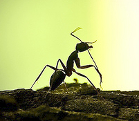 tuji_manP's profile picture. 色々模索中?相互フォロワー募集しています