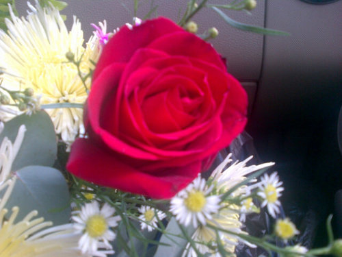 SaryMercedes's profile picture. 