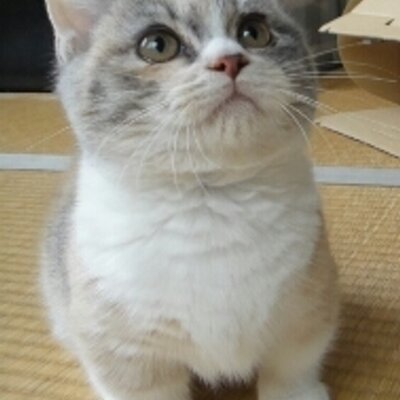 muroのプロフィール写真