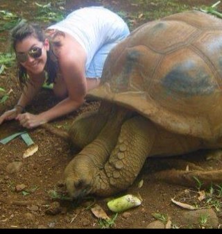 all_things_H20's profile picture. @JNCC_UK senior marine ecosystems scientist (views are my own) #rower #marinebiologist #loverofallthingswater