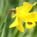 Mairead O'Flaherty (@oflahertym) Twitter profile photo