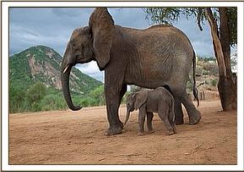 MrsCoaster1's profile picture. MrsCoaster1