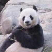 PO (@amnoreside) 's Twitter Profile