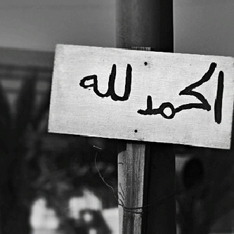 على سبيل الالم،قِـطعه مِـن قلبي في احد القبور💔.