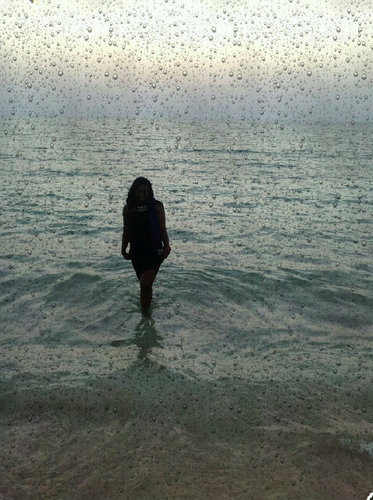 MisSheils's profile picture. 