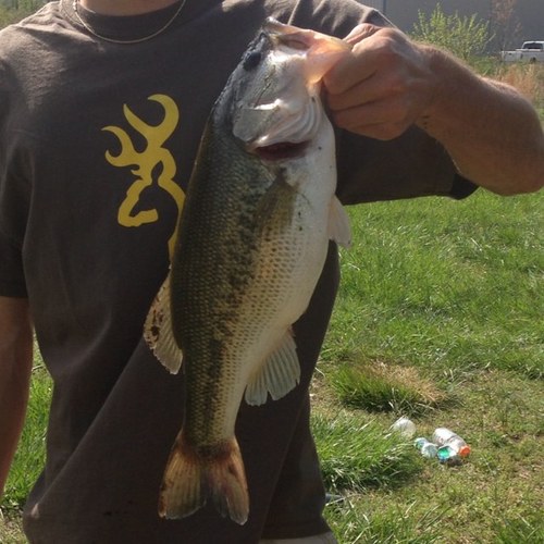 Bass fishing in Georgia