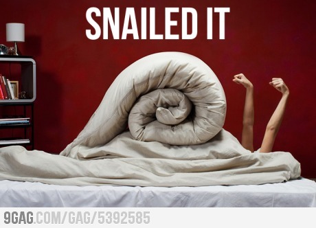 TruthInBloNo's profile picture. 