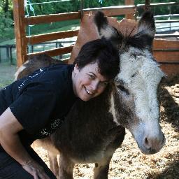 jlion21cccs's profile picture. Teacher at the best Cyber school in PA, 21CCCS. Books and cooking 2 of my favorite past times.