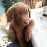 Lab of the Day (@laboftheday) 's Twitter Profile