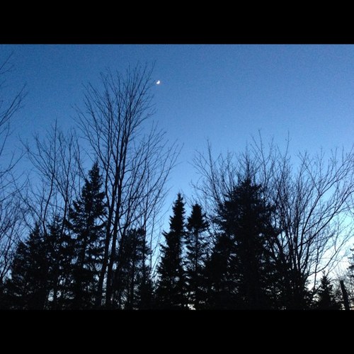 outstickrick's profile picture. 