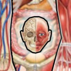 Like to know cool factz about the body? Shit yeah ya do. Bringing you the kind of info you've been wondering about but too afraid to ask a human or Google.