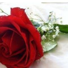 SatyaAmt's profile picture. 