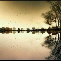 A (@bhloolmr) 's Twitter Profile