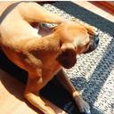 Kendall Bauer - @kennirae91 - Twitter