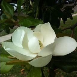 MSeconomy's profile picture. Promoting ways to grow the Mississippi economy.