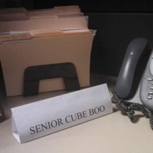 CubeBoos's profile picture. Fresh to Desk from 9 to 5