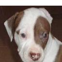 Jose Oriol Colorado  - @josecolorado18 - Twitter