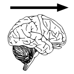 Thought, with magnitude and direction.