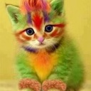 Dee Christensen - @tweetledeec - Twitter