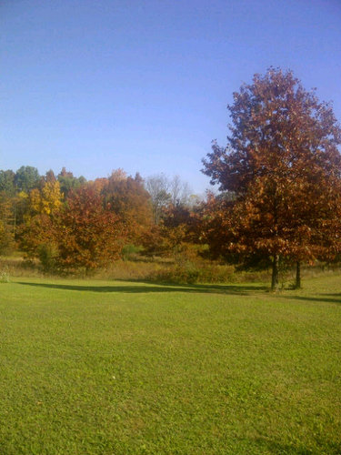 mamabiez's profile picture. 