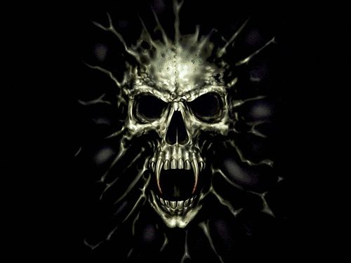 fenix_cl's profile picture. Tipo de 33 TENS ENF que le gusta andar en bicicleta soy bien patiperro jajaja trato de ser feliz a mi manera .